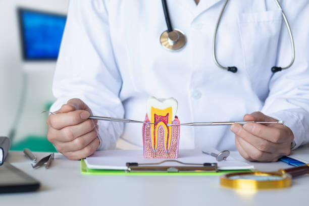 Best Emergency Dentist for Special Needs Patients in Spring Hope, NC